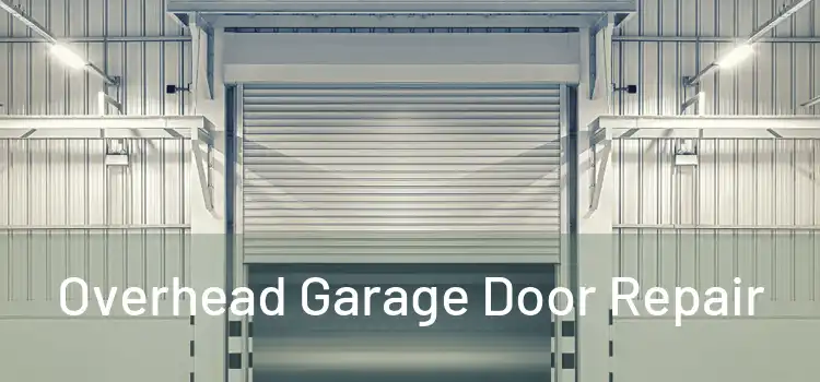  Overhead Garage Door Repair 